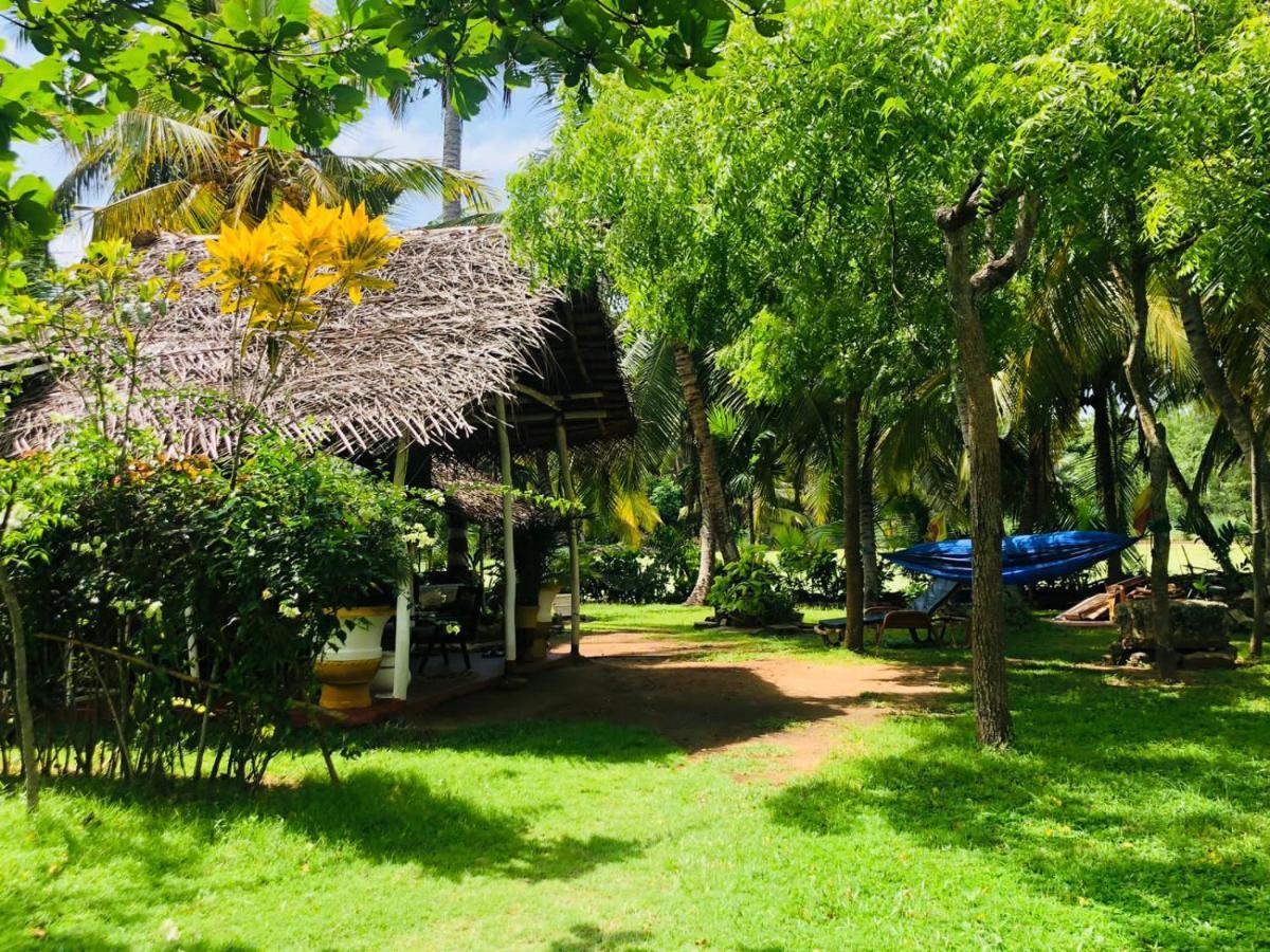Lake View Cabana Paradise & Villa Tangalle Eksteriør billede