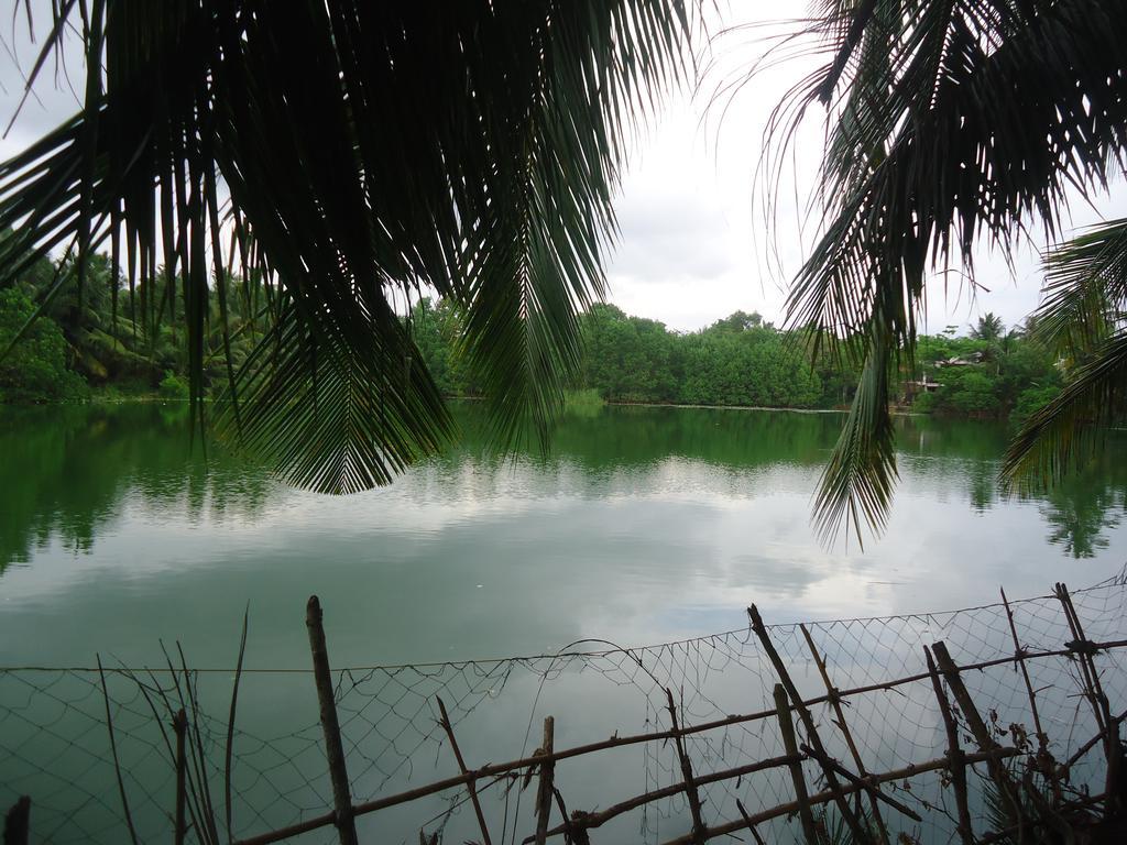 Lake View Cabana Paradise & Villa Tangalle Eksteriør billede