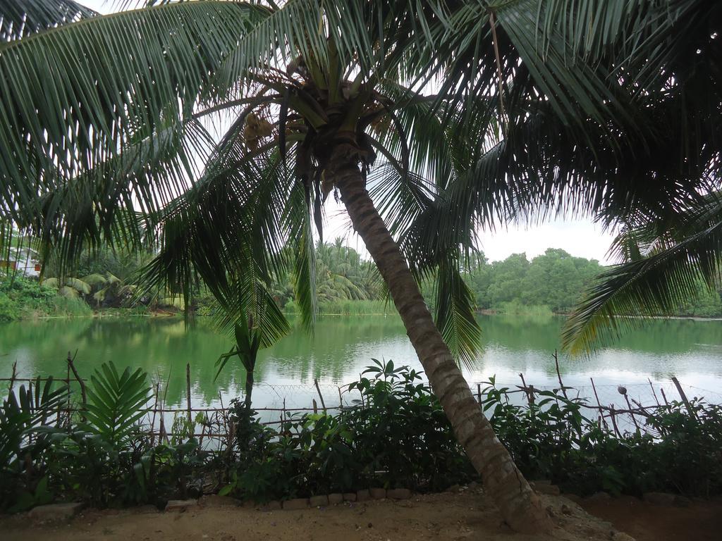 Lake View Cabana Paradise & Villa Tangalle Eksteriør billede