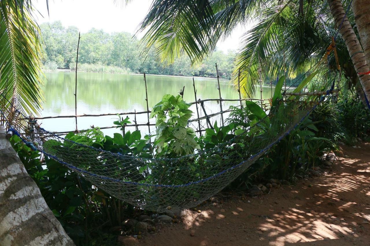 Lake View Cabana Paradise & Villa Tangalle Eksteriør billede